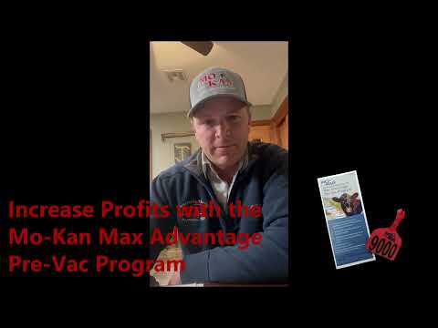 All Videos