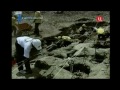 корню уничтожить теорию эволюции Дарвина.<br 
