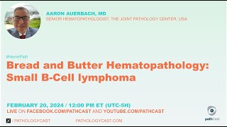 Bread And Er Hematopathology Small B-Cell Lymphoma