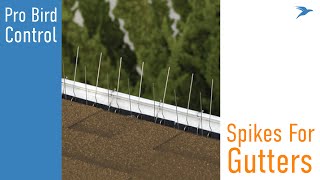 Bird Barrier Gutter-Point Introduction