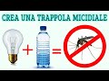 crea la miglior trappola per zanzare, micidiale per tutti gli insetti con le ali