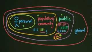 What is Health?