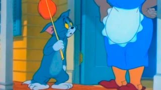 Tom And Jerry - Push-On Kitty - Episode 70 - Tom And Jerry Cartoon Iukeitv