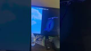 Porchlight Entertainmentmodern Cartoonswonderwings Entertainmentknightscove Family Films