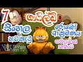 ගාෆිල්ඩ් රොබෝ ආක්‍රමණය සම්පූර්ණ කතාව  Garfield Robo attack Garfield Sinhala Dubed Garfileld Ep-7