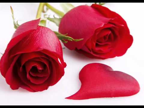 Majhiya priyala Preet Kalena !! Goryaa Goryaa !!! Marathi song...