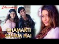Chamakti Shaam Hai | Chhalakta Jaam Hai | Sonu Nigam, Alka Yagnik | Yaadein | Hindi Song