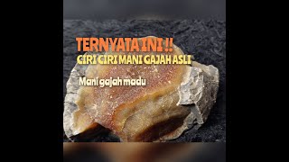 CIRI BATU ASLI Mani Gajah  #manigajah #gemstone #crystals #batuakikindonesia #ba