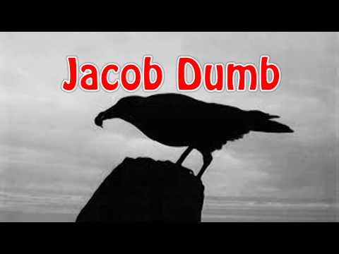 Jacob Dumb Video