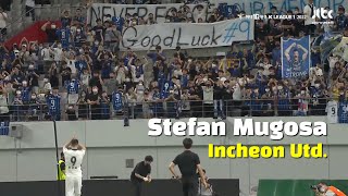 lArS8ifRIag Video Image