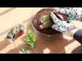 DIY Cactus Terrarium | SWEET HOME