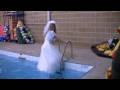 Bride in the pool wetlook fun