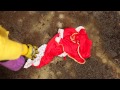 Princess Peach VS Wario (Fight Scene from Mario Warfare)