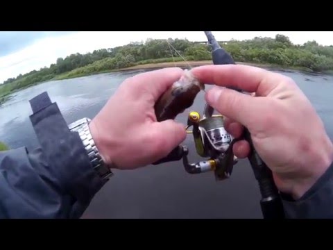 салмо элит микроджиг 10 обзор салмо элит микроджиг 10 обзор