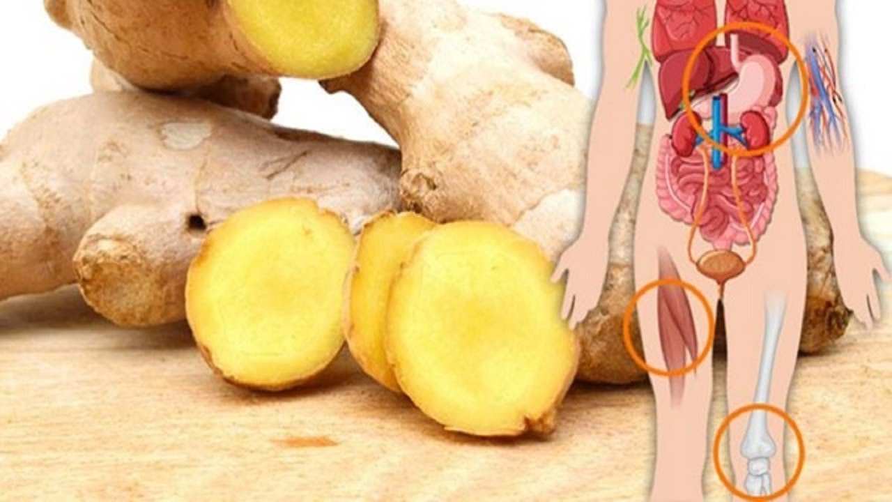 Ginger root ass