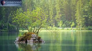 Serotonin Release Music - Binaural Beats Meditation Music, Relaxing Music, Happiness Meditation