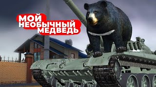 Так Сказать, Необычный Медведь - Сладкие #12