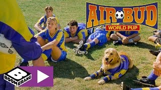La Soirée Des Lycéens Air Bud 3 Boomerang