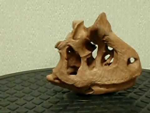 carnotaurus skull