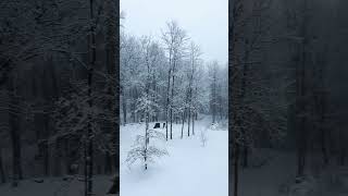 Its A Winter Wonderland