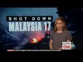 Freelance journalist describes MH17 site