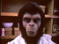 Roddy Mcdowall S Movies From Planet Of Apes 1968 Roddy Mcdowall S Movies From Planet Of Apes 1968