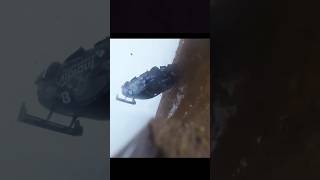 Crazy Hillclimb Car Crash P.o.v.