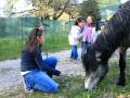 Il pisello di Gennarino