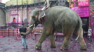 Celebrating Five Years of Sunder's Freedom