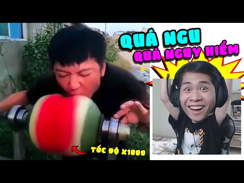 CƯỜI SML KHI NHỮNG THẰNG NGU THỂ HIỆN ĐẲNG CẤP ... đã NGU còn ĐÚ !!! | (Pobbrose TTCC) ✔
