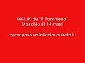 pastore 動画6a
