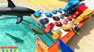 Transportador De Cruz Ramirez Cars 3 Campeonato Con Rayo Mcqueen Carros De Carrera Disney