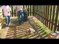 How to kill a chicken