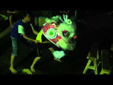 IMG 1651