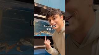 Buying Mive Dungeness Crabs