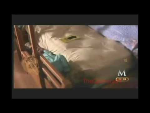 paulette caso el
