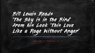 The Sky is in the Bird