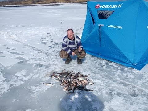 что ловят на красноярском море что ловят на красноярском море