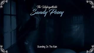 Watch Sandy Posey Standing In The Rain video