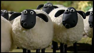 001 - Off The Baa