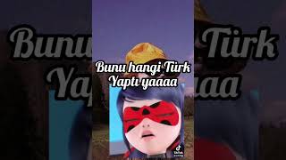 Başlığı Kara Kedi Yedi