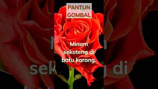 Pantun Gombal Untuk Cowok Ganteng Viral 2023