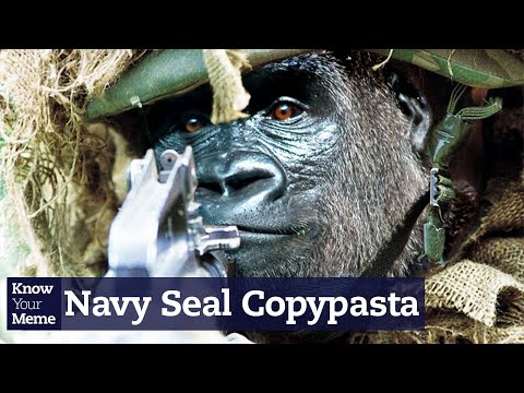 Navy Seal Copypasta | Know Your Meme