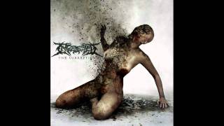 Watch Ingested Manifesting Obscenity video