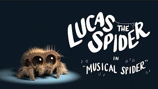 Lucas the Spider - Musical Spider - Short