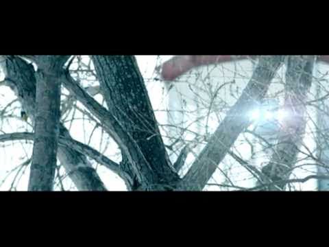 The Source Video