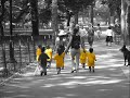 il mondo