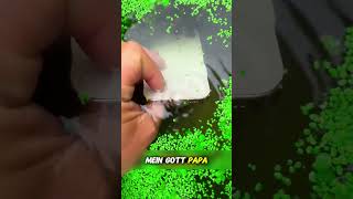 Papa Wollte Mein Handy In Den Gully Werfen