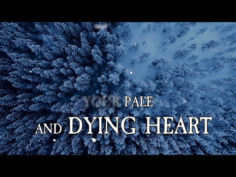 A Thread For Each Tear Shed Video
