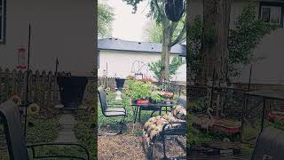 Sitting On The Chicken Porch Listening To The Rain